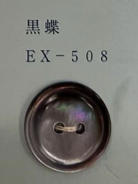 EX508 2つ穴 縁あり 黒蝶 貝ボタン トモイ